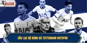 Câu lạc bộ bóng đá Tottenham Hotspur – Từ truyền thống đến hiện đại
