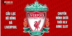 Câu Lạc Bộ Bóng Đá Liverpool – Bước Chuyển Mình Dưới Thời Hlv Arne Slot