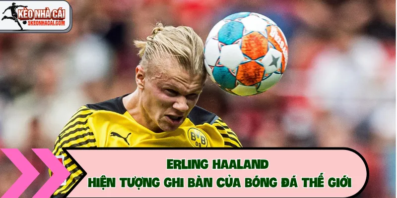 Erling Haaland – Hiện Tượng Ghi Bàn Của Bóng Đá Thế Giới