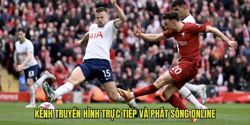Kênh truyền hình trực tiếp và phát sóng online
