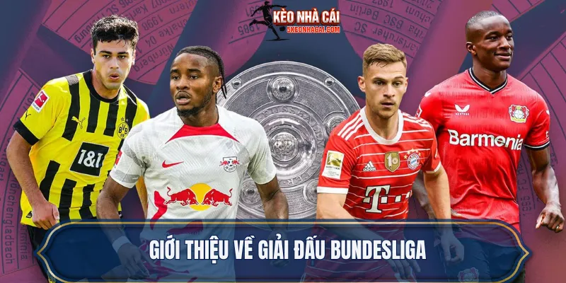 Giới thiệu về giải đấu Bundesliga
