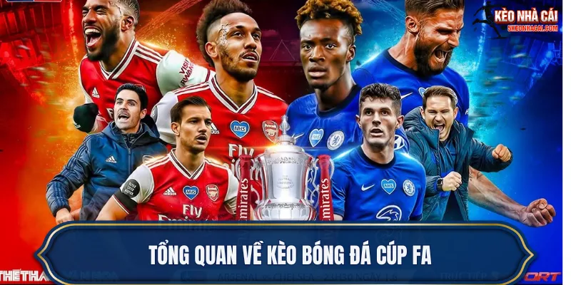 Tổng quan về kèo bóng đá Cúp FA