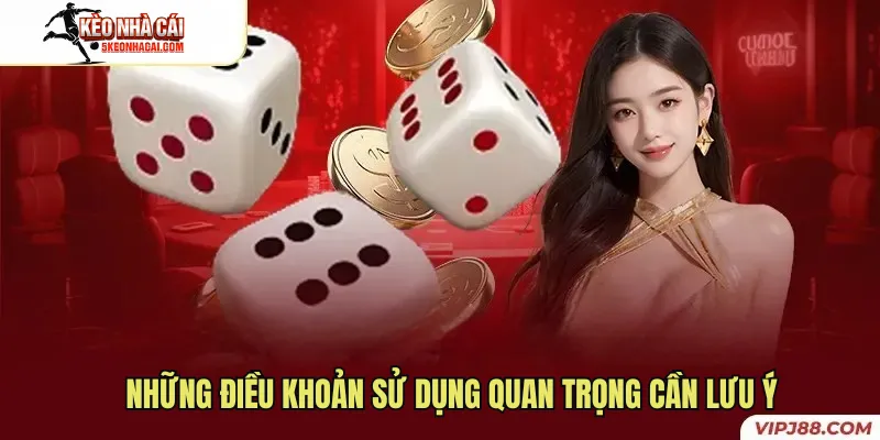 Những điều khoản sử dụng quan trọng cần lưu ý