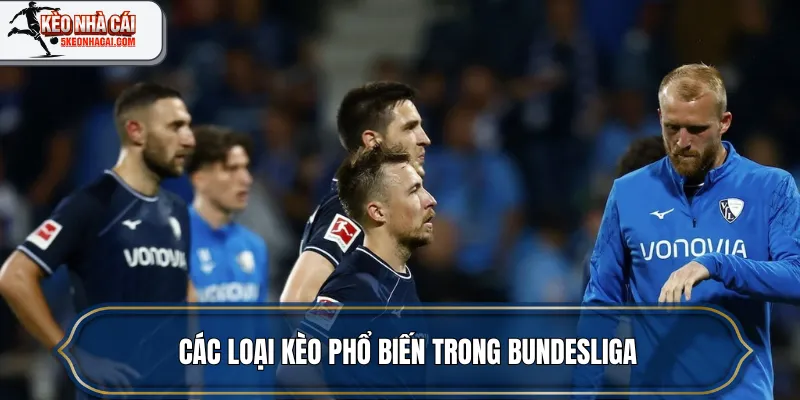 Các loại kèo phổ biến trong Bundesliga