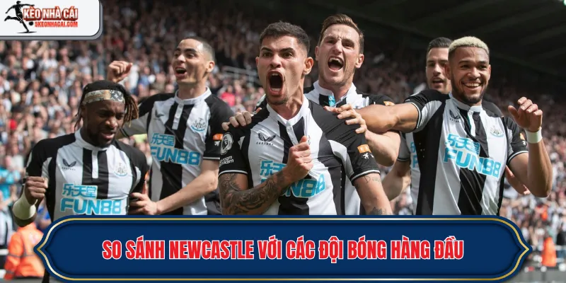 So sánh Newcastle với các đội bóng hàng đầu