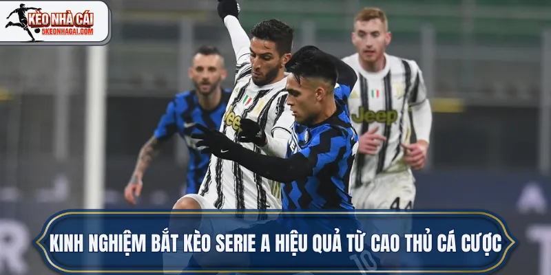 Kinh nghiệm bắt kèo Serie A hiệu quả từ cao thủ cá cược
