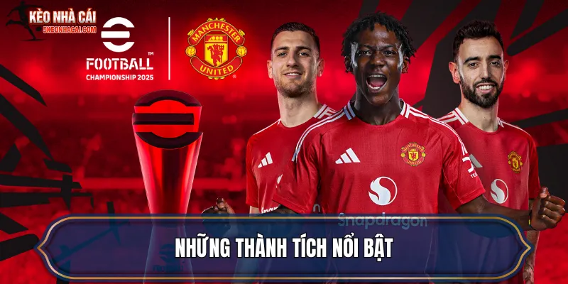 Những thành tích nổi bật