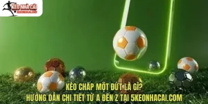 Kèo Chấp Một Đứt Là Gì? Hướng Dẫn Chi Tiết Từ A Đến Z Tại 5keonhacai.com