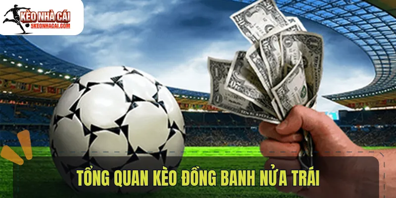 Tổng quan kèo đồng banh nửa trái